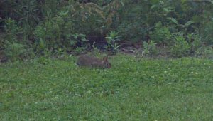 2015-06-20_19-48-24_713.jpg