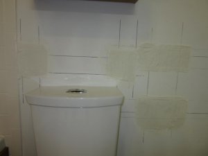 IMG_1110.jpg