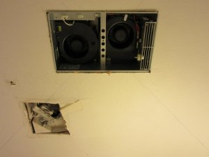 IMG_1123.jpg