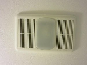 IMG_1154.jpg