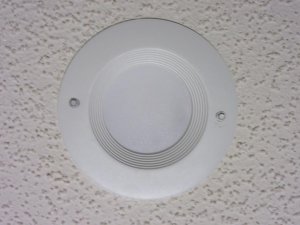 IMG_1187.jpg