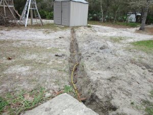 IMG_1898.jpg