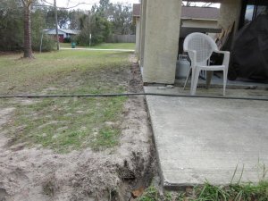 IMG_1901.jpg