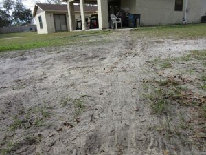 IMG_1912.jpg