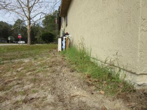 IMG_1914.jpg