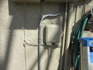 IMG_1919.jpg