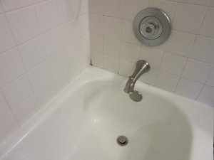 IMG_1952.jpg