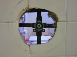 IMG_1954.jpg