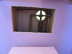IMG_1956.jpg