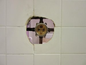 IMG_1960.jpg