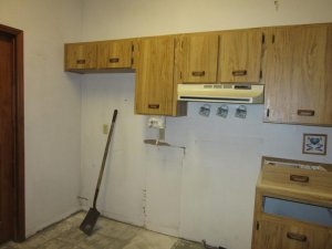 IMG_2439.jpg