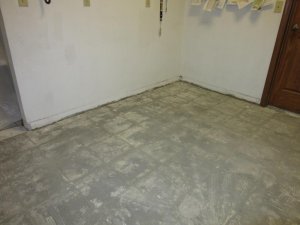 IMG_2440.jpg