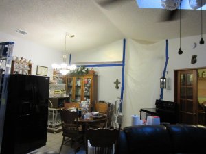 IMG_2445.jpg