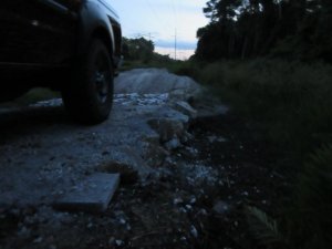 IMG_2450.jpg