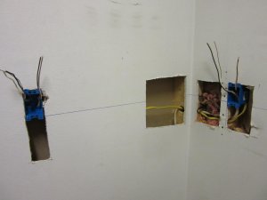 IMG_2465.jpg