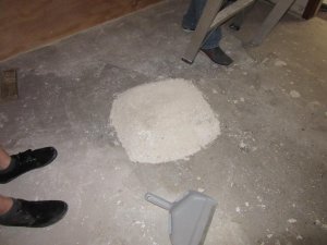 IMG_2475.jpg