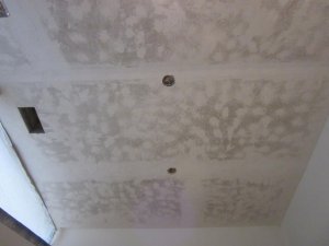 IMG_2501.jpg