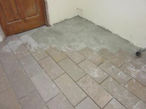 IMG_2542.jpg