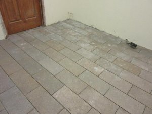 IMG_2552.jpg