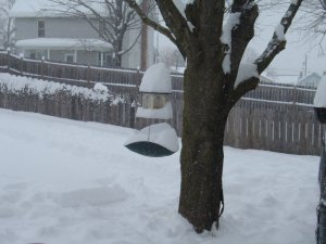 DSC00912.JPG