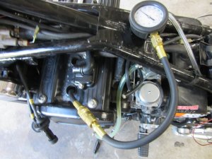 IMG_4439.JPG