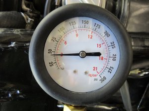 IMG_4441.JPG