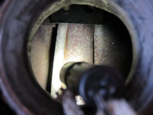 IMG_4988.JPG
