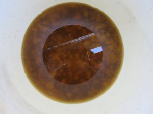 IMG_4995.JPG