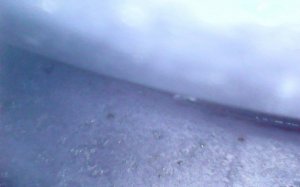 2017-10-20-10-02-32.jpg