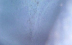 2017-10-20-10-03-22.jpg
