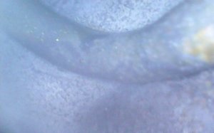 2017-10-20-10-04-25.jpg