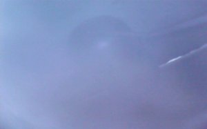 2017-10-20-10-04-45.jpg