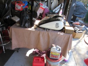 IMG_5447.JPG