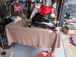 IMG_5493.JPG