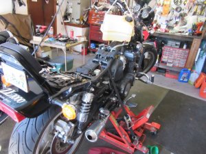 IMG_5451.JPG