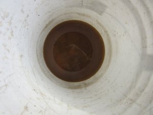 IMG_5500.JPG