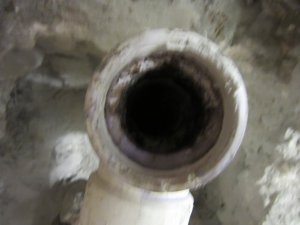 IMG_8021.JPG IMG_8021.JPG