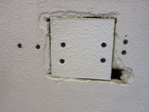 IMG_8068.JPG
