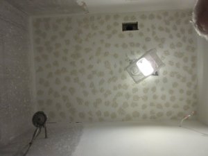 IMG_8090.JPG