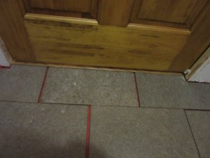 IMG_8141.JPG