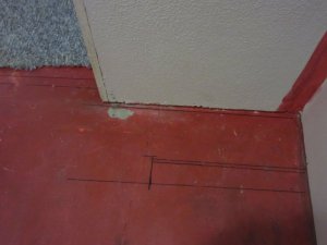 IMG_8145.JPG