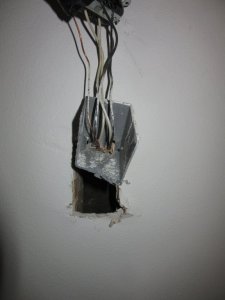 IMG_8203.JPG IMG_8203.JPG