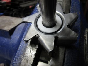 IMG_8223.JPG