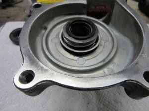 IMG_8226.JPG