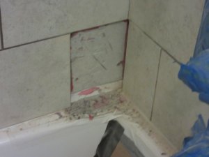 IMG_8260.JPG IMG_8260.JPG