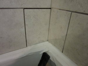 IMG_8262.JPG IMG_8262.JPG