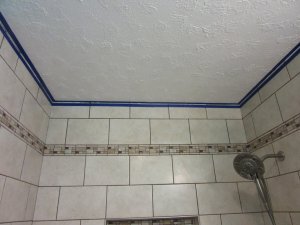 IMG_8283.JPG IMG_8283.JPG