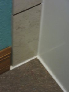 IMG_8347.JPG IMG_8347.JPG