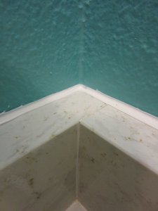 IMG_8349.JPG IMG_8349.JPG