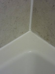 IMG_8351.JPG IMG_8351.JPG